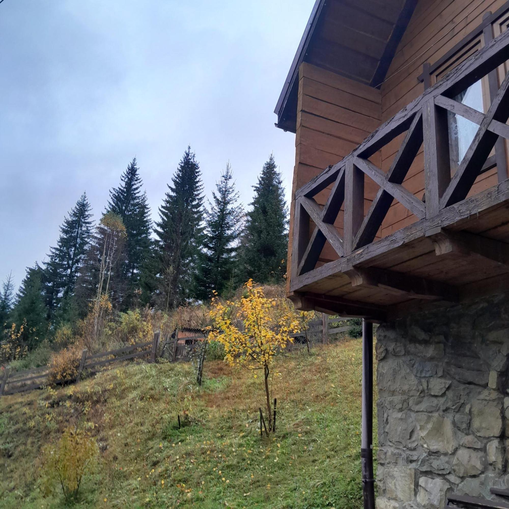 Lodge 